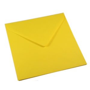 Vokai Kvadratiniai – geltoni (Daffodil Yellow)