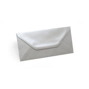 Vokai DL – sidabriniai (Silver)